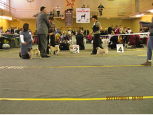 ����������� 096.jpg