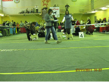 ����������� 097.jpg