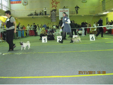 ����������� 098.jpg