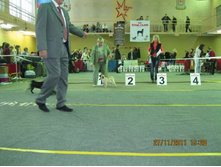 ����������� 099.jpg