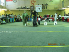 ����������� 100.jpg