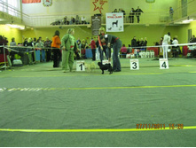 ����������� 101.jpg