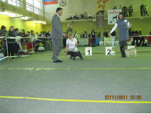 ����������� 102.jpg