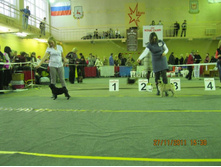 ����������� 103.jpg