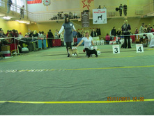 ����������� 105.jpg