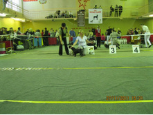 ����������� 106.jpg