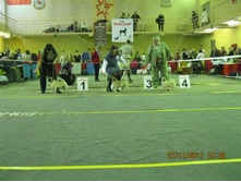 ����������� 107.jpg