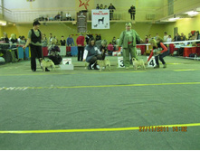 ����������� 108.jpg