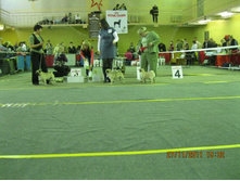 ����������� 109.jpg