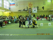 ����������� 113.jpg