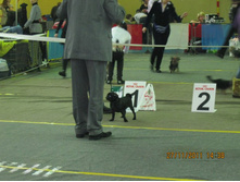 ����������� 040.jpg