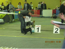 ����������� 041.jpg