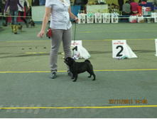 ����������� 043.jpg