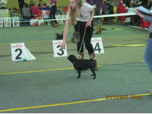 ����������� 044.jpg