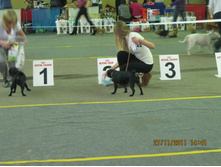 ����������� 046.jpg