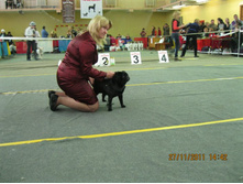 ����������� 048.jpg