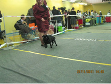 ����������� 049.jpg