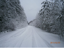 2013-02-07 11.54.42.jpg