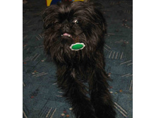 ������� ��������� ����� 7 �� �����