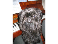 � � ������ � ��� � ��� ...