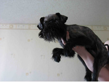 ���������� � ������