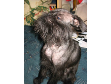 � � ����� �� �������, ����� ��������!