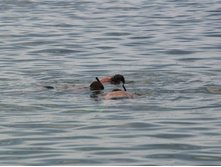 ��������� ������