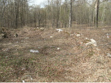 �ӣ, ��� �������� �� ������������� ��� ��� ������������ ����� ��� ������ �����