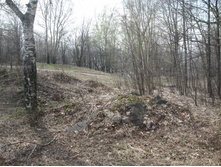 �� ��������� ������� ������������� �������� ������� ����� - 10 ������