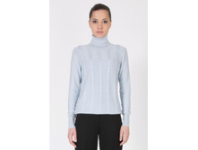 2060 ���� 490