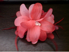 ������� - ������� 