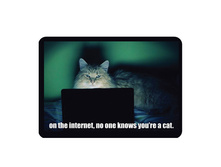 ������ ����� � ���������.jpg