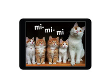 ������ ������.jpg