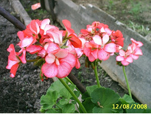 �������� � ����