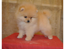 15 ���� ��� 016.jpg