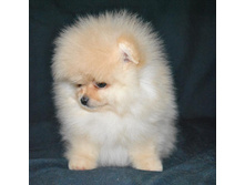 15 ���� 046.jpg