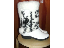 ��������- ����� ����