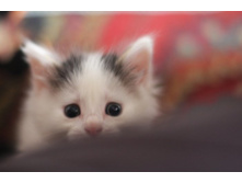 ������ � ������