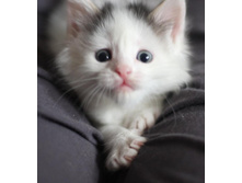 ����� ������ :)