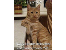 getImage (11).jpg