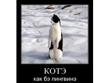 getImage.jpg