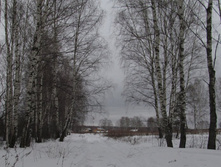 �����������, ��� �� �������