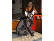 ������-�����