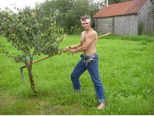 ������ ������� ���������. 100 ������ ������� )))