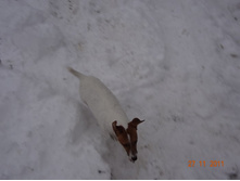 DSC00201.JPG