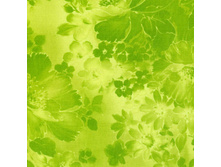 15.09.2010 11:31:57