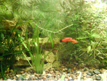 09.03.2009 0:40:10