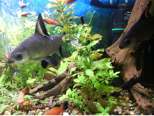 09.03.2009 0:46:41