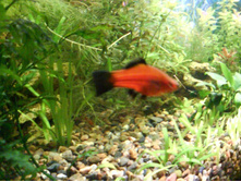 09.03.2009 0:59:56