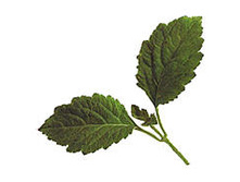 ����*��� ��*��� ���*���